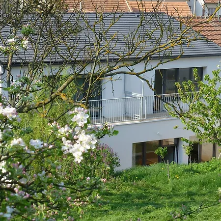 Pod Kralicim Vrchem *