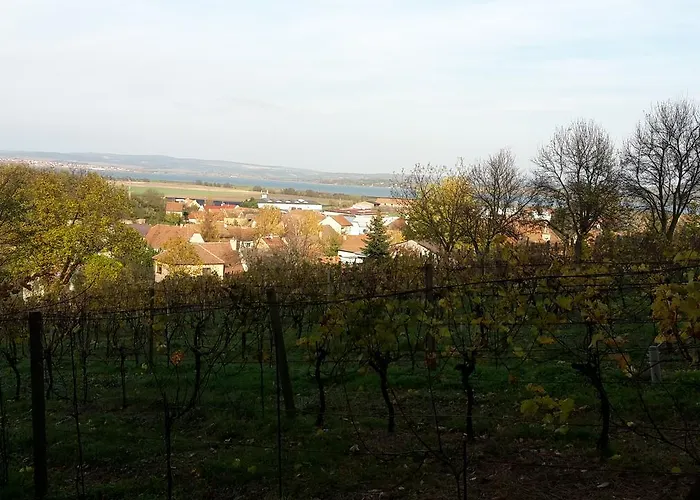 Pod Kralicim Vrchem * Milovice (South Moravian)