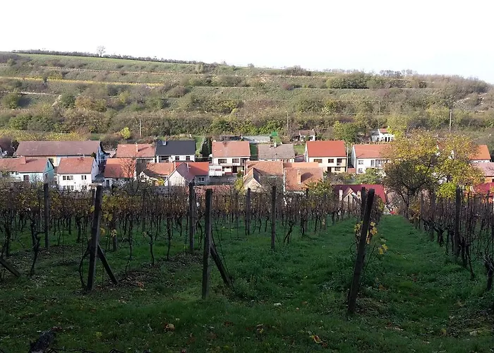 Pod Kralicim Vrchem * Milovice (South Moravian)